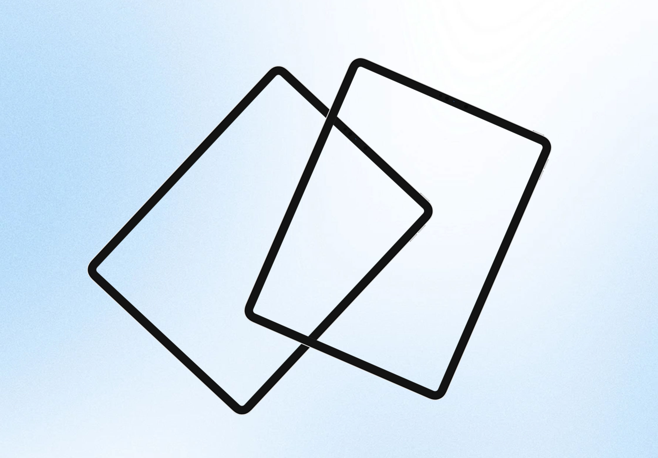 2009 Standardization